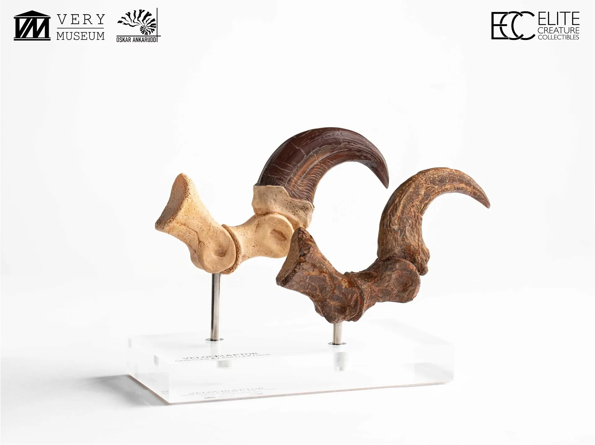 JURASSIC PARK - Velociraptor Foot Claw and Fossil Set - Figurine